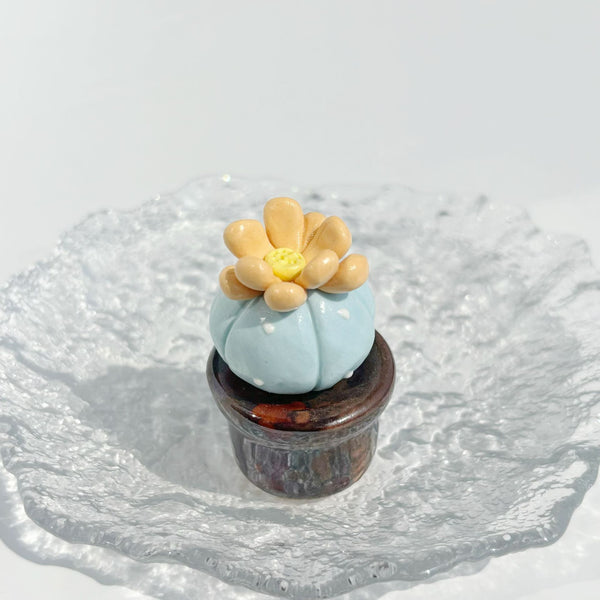 Dopamine Succulent Pot